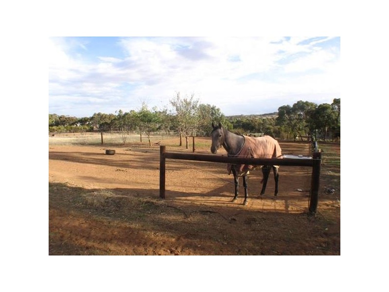 Lot 62, Burnside Road, Strathalbyn SA 5255