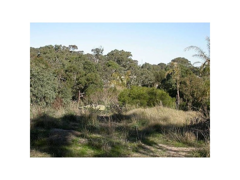 23 Devereux Street, Macclesfield SA 5153