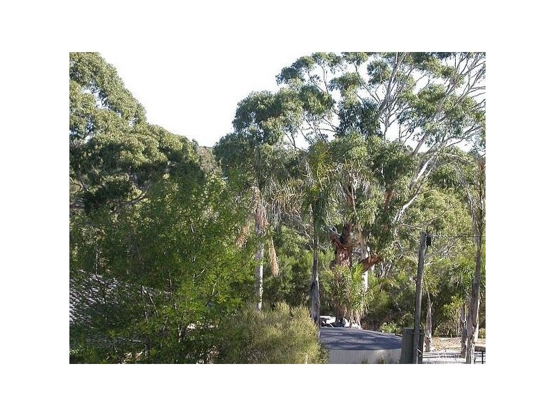 23 Devereux Street, Macclesfield SA 5153