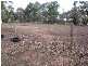 Lot 1 Roper Road, Strathalbyn SA 5255
