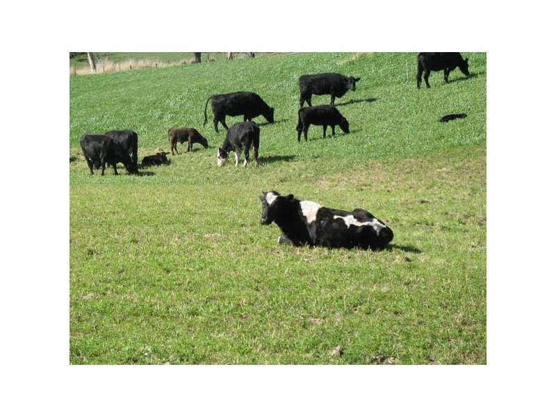 Lot 952, . Adelaide – Goolwa Road, Meadows SA 5201