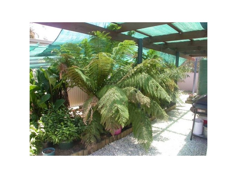 3/5 Ridge Road, Woodside SA 5244