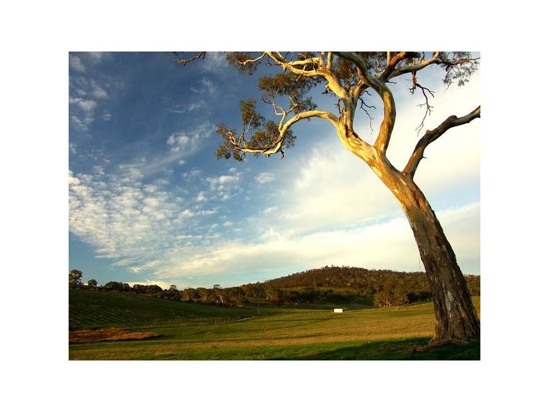 Williams Road, Mount Barker SA 5251