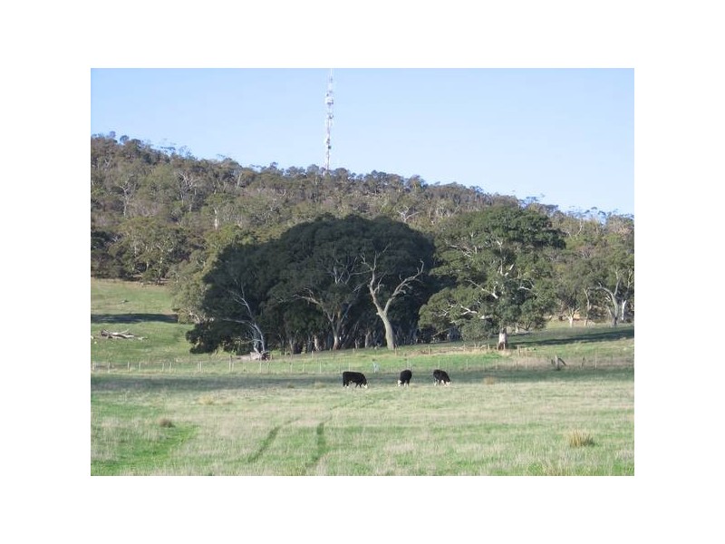 Williams Road, Mount Barker SA 5251