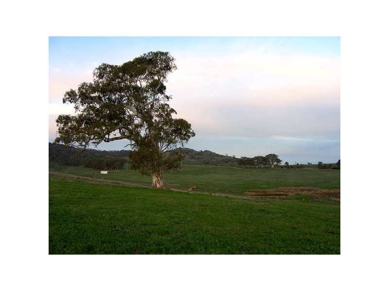 Williams Road, Mount Barker SA 5251