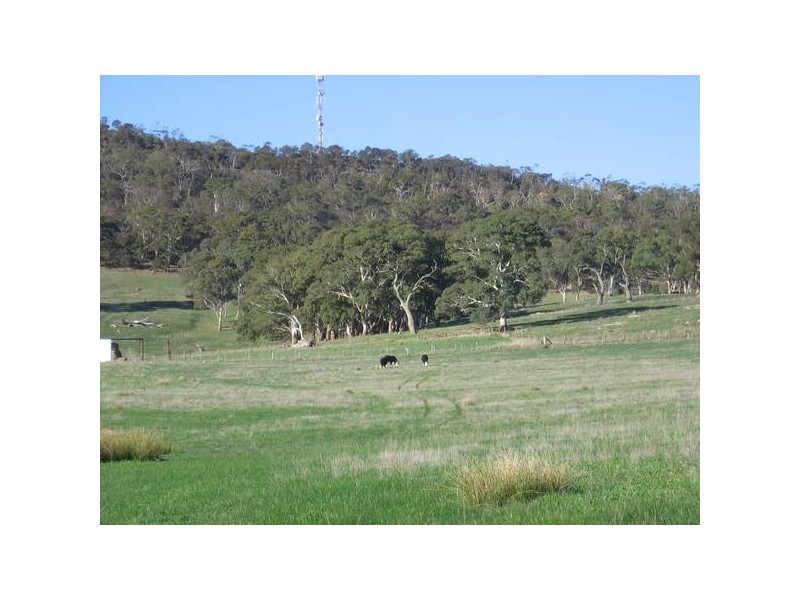 Williams Road, Mount Barker SA 5251