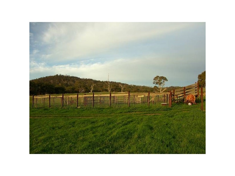 Williams Road, Mount Barker SA 5251