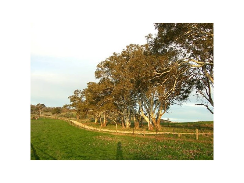 Williams Road, Mount Barker SA 5251