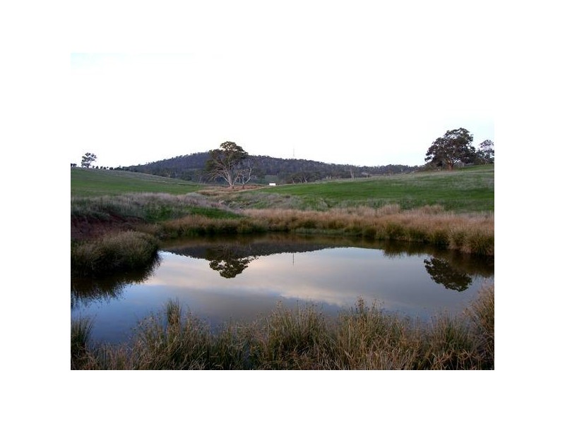 Williams Road, Mount Barker SA 5251