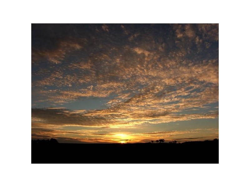 Williams Road, Mount Barker SA 5251