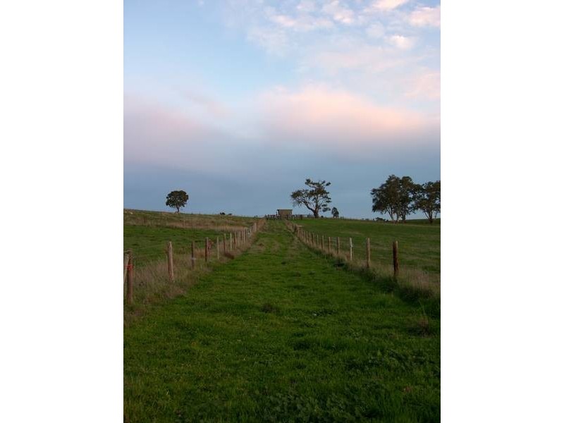 Williams Road, Mount Barker SA 5251