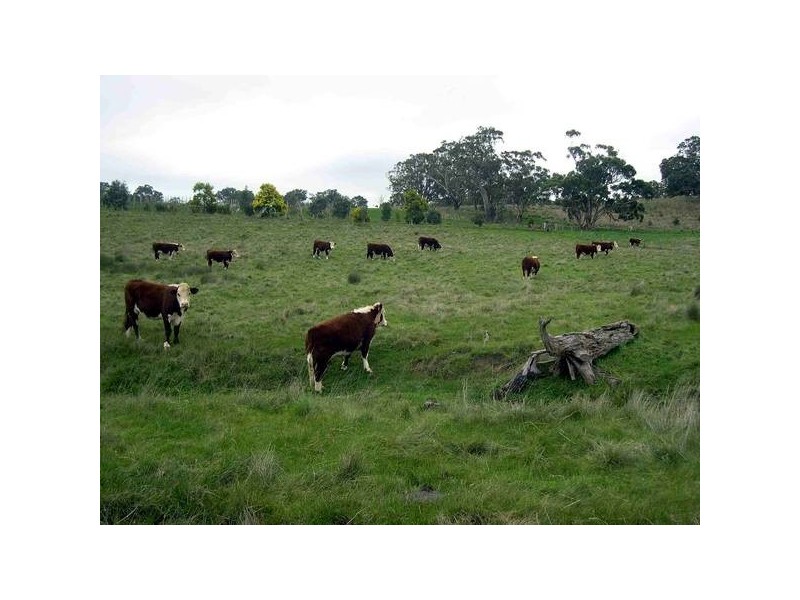 Williams Road, Mount Barker SA 5251