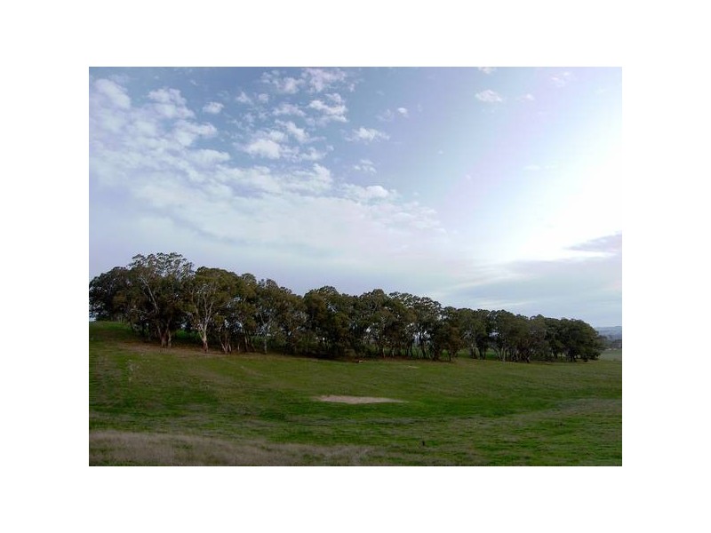 Williams Road, Mount Barker SA 5251