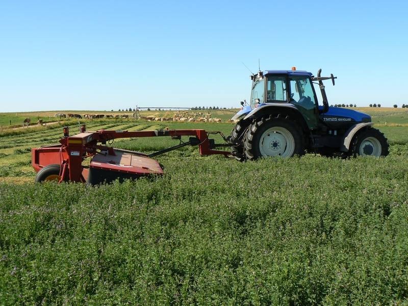 . Narrung – Meningie Road, Narrung SA 5259