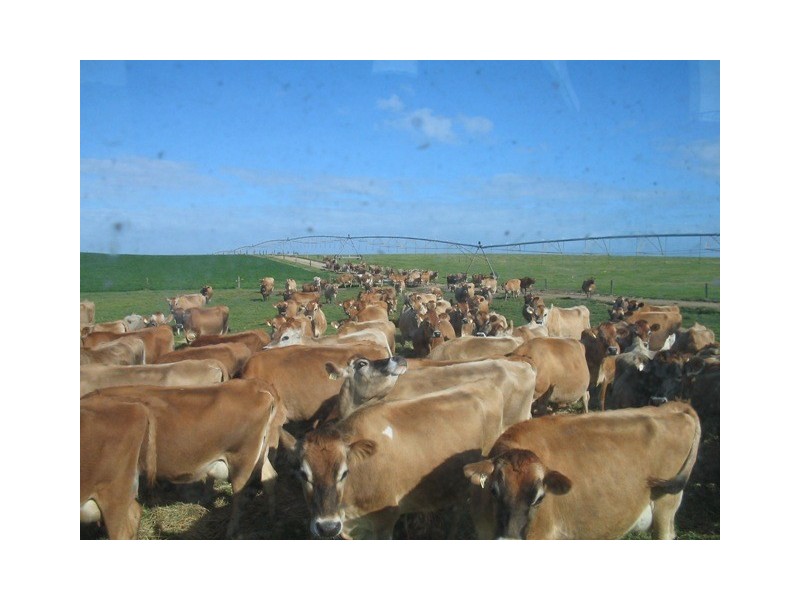 . Narrung – Meningie Road, Narrung SA 5259