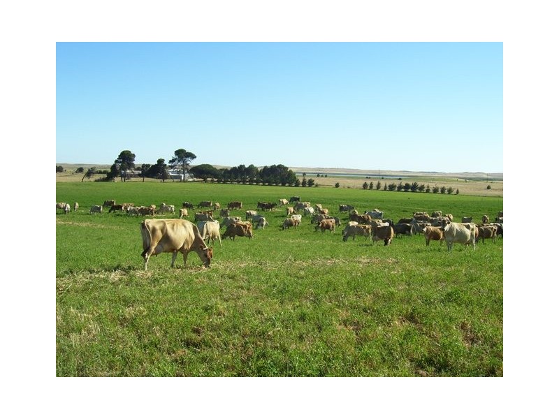 . Narrung – Meningie Road, Narrung SA 5259