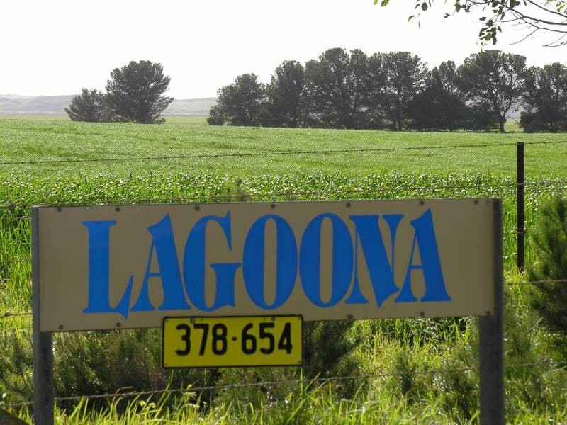 . Narrung – Meningie Road, Narrung SA 5259