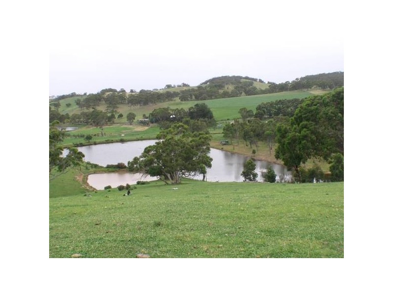 22 Paris Creek Road, Paris Creek SA 5201