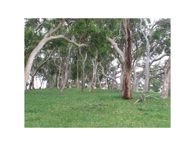 22 Paris Creek Road, Paris Creek SA 5201