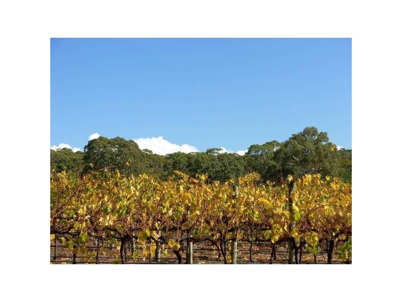 28 Wickhams Hill Road, Kuitpo SA 5172