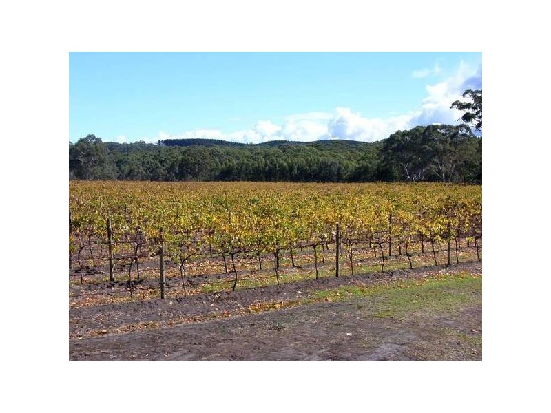 28 Wickhams Hill Road, Kuitpo SA 5172