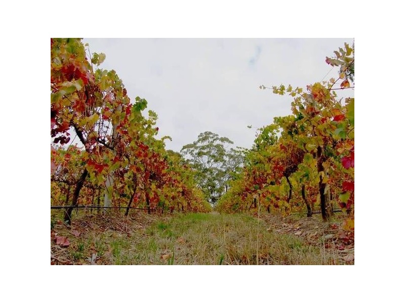 28 Wickhams Hill Road, Kuitpo SA 5172