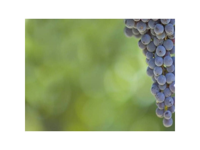 28 Wickhams Hill Road, Kuitpo SA 5172