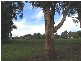 Lot 40 Wellington Road, Mount Barker SA 5251