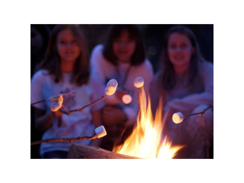 90 Sheoak Road, Crafers West SA 5152