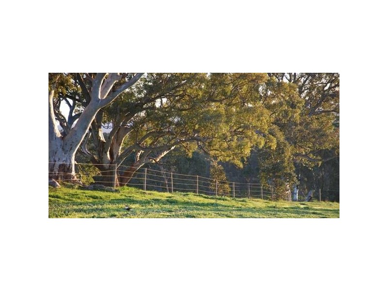 Lt 2 Landara Road, Woodside SA 5244