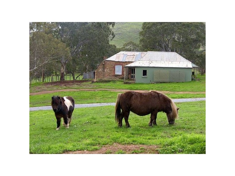 Sec.110 The Glen Road, Harrogate SA 5244