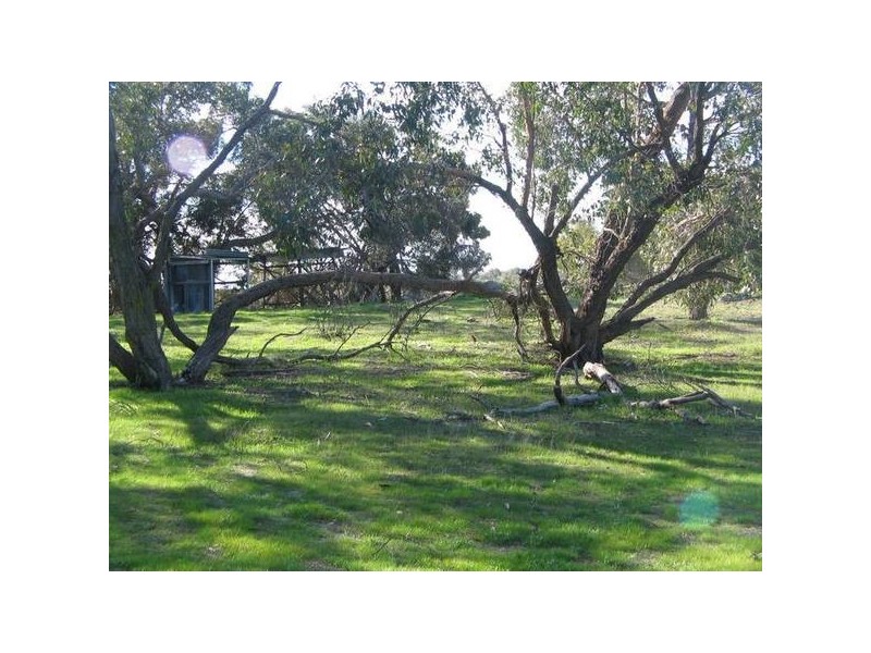 Lot 12 Riddoch Highway, Willalooka SA 5267