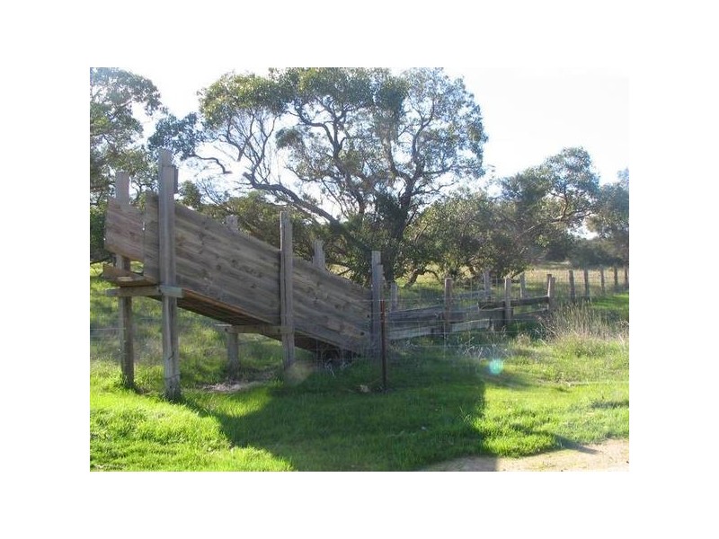 Lot 12 Riddoch Highway, Willalooka SA 5267