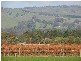 Sec 902 Schuller Road, Kangarilla SA 5157