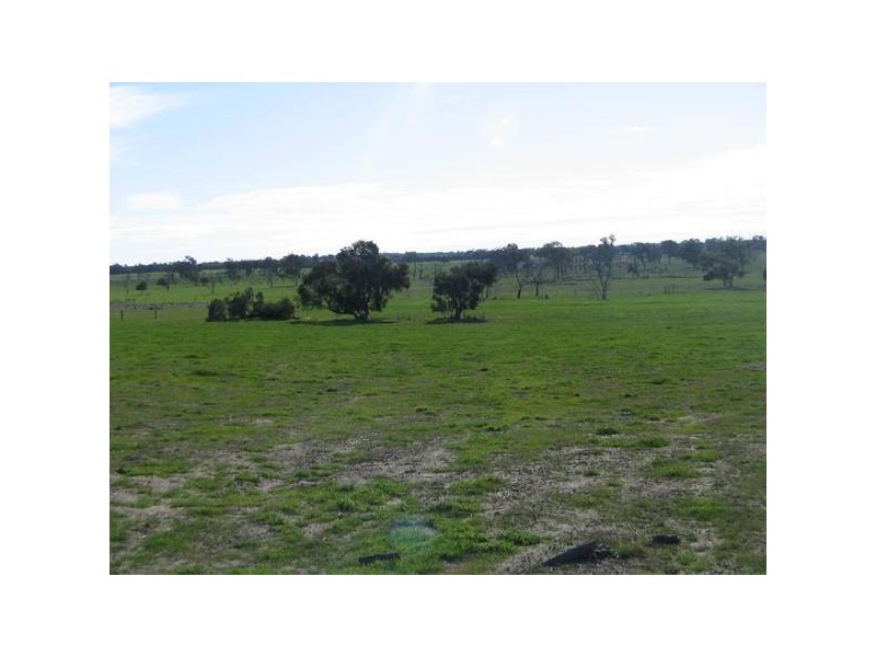 .12 Riddoch Highway, Willalooka SA 5267