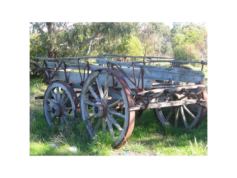 .12 Riddoch Highway, Willalooka SA 5267