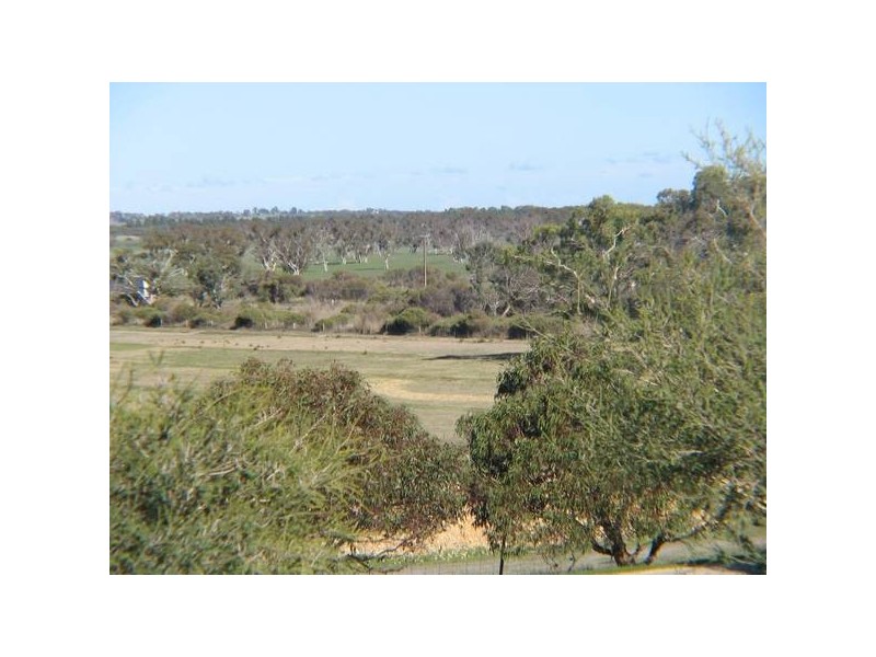 .12 Riddoch Highway, Willalooka SA 5267
