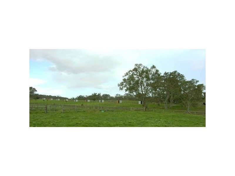 . Onkaparinga Valley Road, Oakbank SA 5243