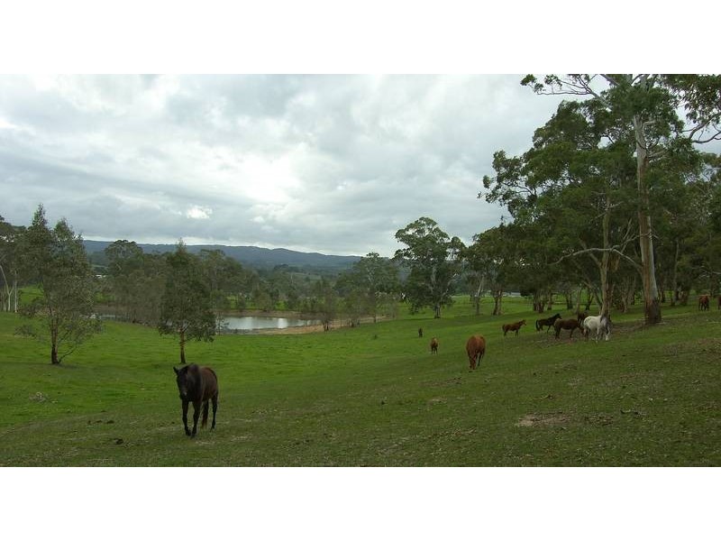 Section 48 Onkaparinga Valley Road, Oakbank SA 5243