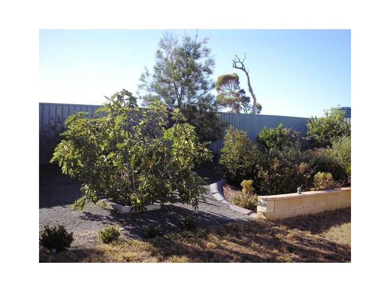 27 Craig Drive, Nairne SA 5252
