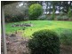 7 View Road, Woodside SA 5244
