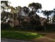 41 Murray Street, Callington SA 5254