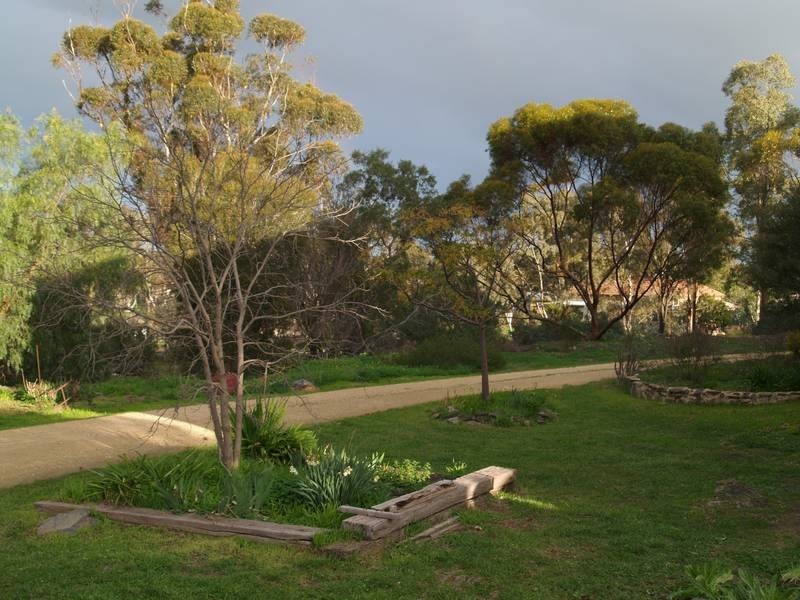 41 Murray Street, Callington SA 5254