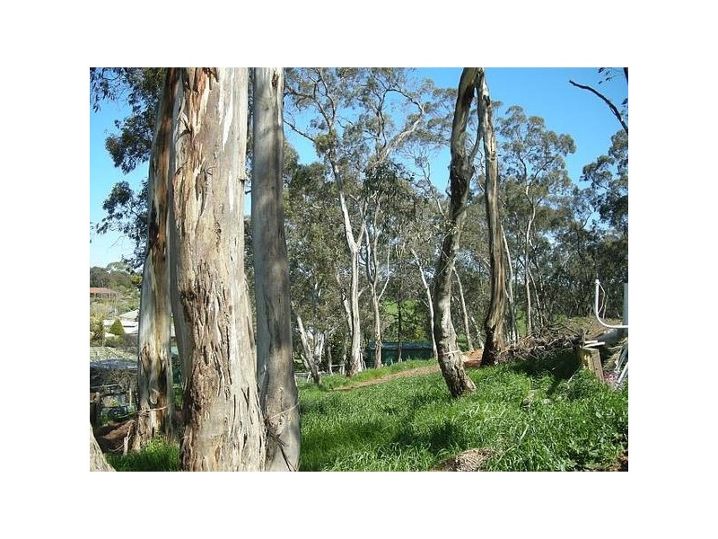 Lot 17, 14 Hillman Drive, Nairne SA 5252