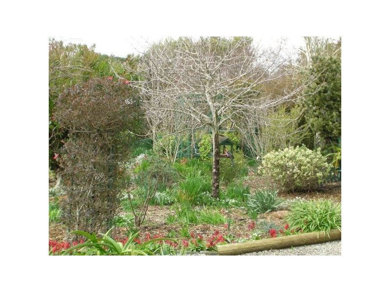 41 Jeffrey Street, Nairne SA 5252