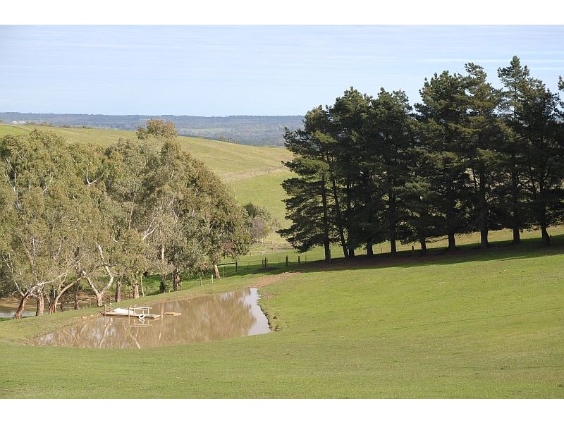 Lot 12 Nicol Road, Meadows SA 5201