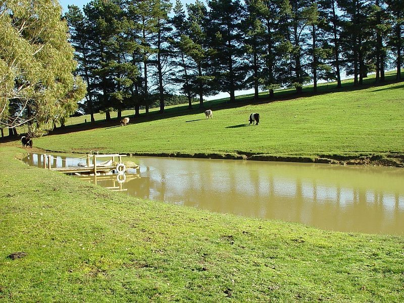 Lot 12 Nicol Road, Meadows SA 5201