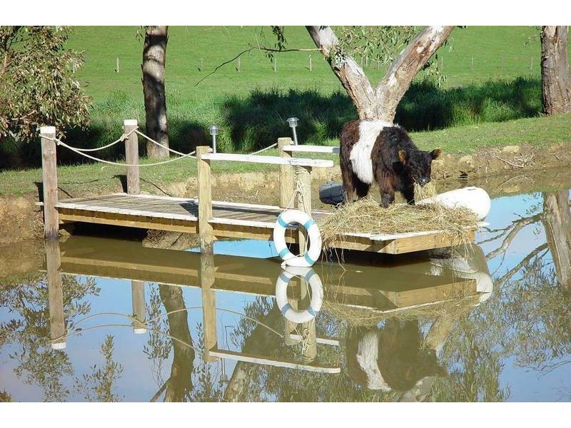 Lot 12 Nicol Road, Meadows SA 5201