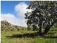 Lot 1 Rams Road, Rockleigh SA 5254