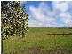 Lot 1 Rams Road, Rockleigh SA 5254